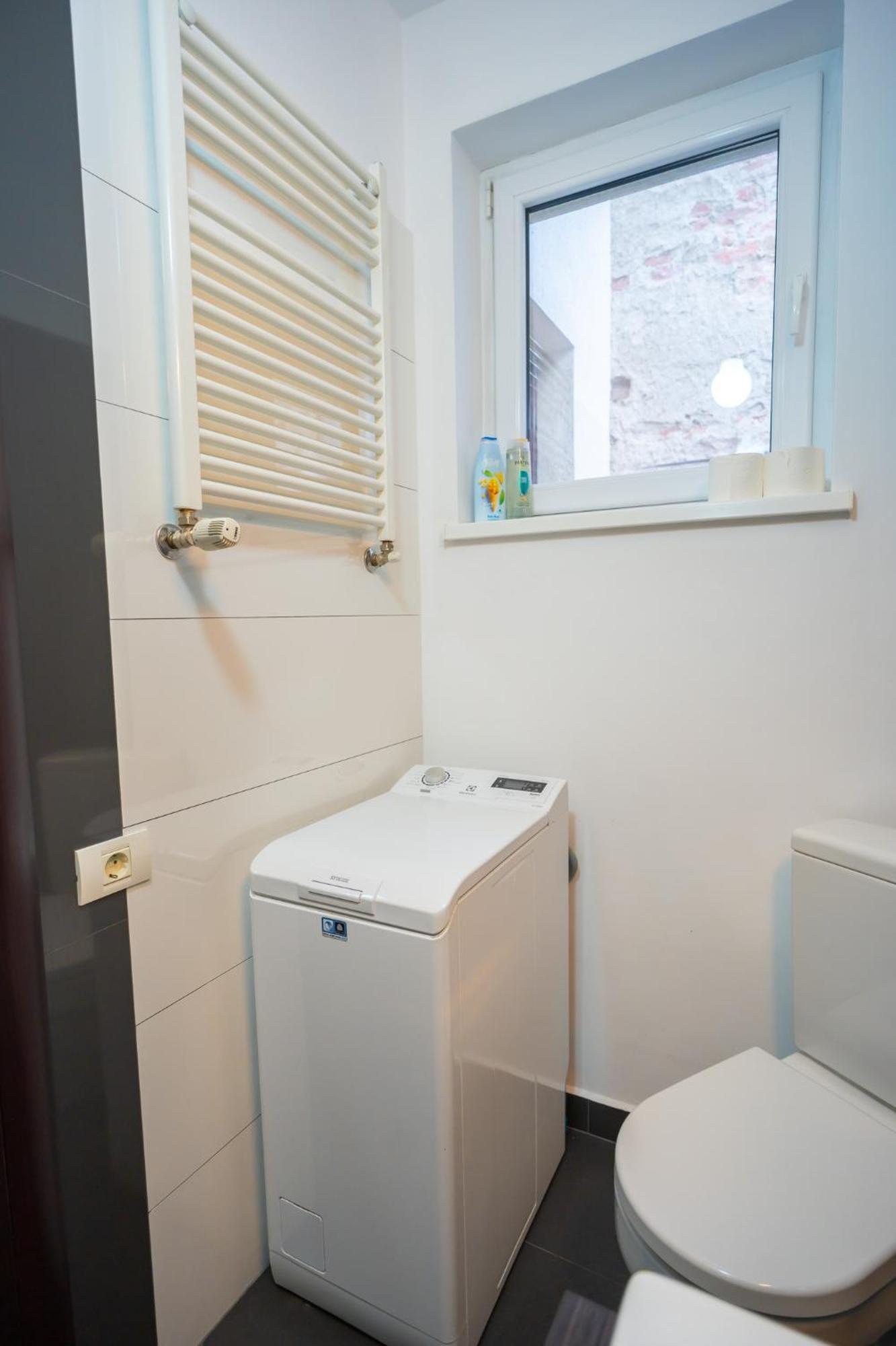 Cozy & Spacious Near Victoriei Square Apartament